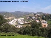 Encinares de Alcolea, Córdoba